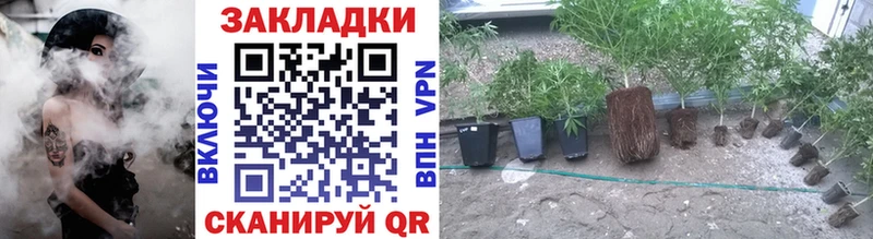 Какие есть наркотики Новомичуринск КОКАИН  LSD-25  Амфетамин  Псилоцибиновые грибы  МЕФ  APVP 