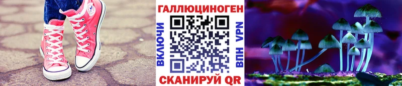 Псилоцибиновые грибы Psilocybe  Новомичуринск 